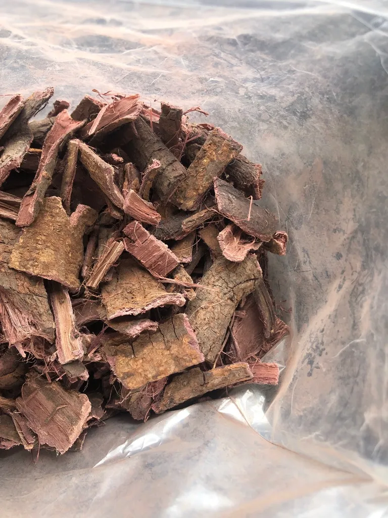 Mimosa Hostilis / Tepezcohuite (Skin Care/Clothing Dye) photo 1