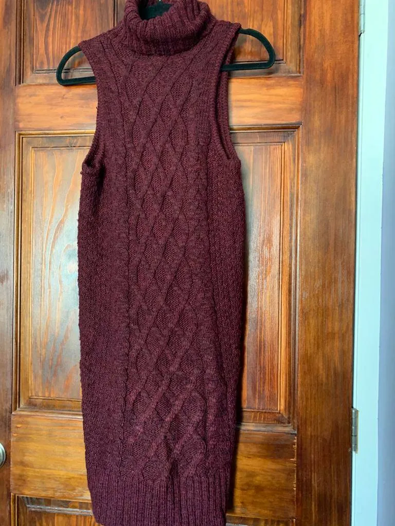 AE Turtle Neck Sweater Dress (small) photo 1