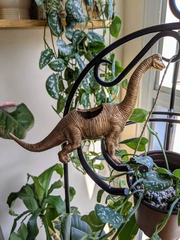 Golden Dino Airplant Holder photo 1