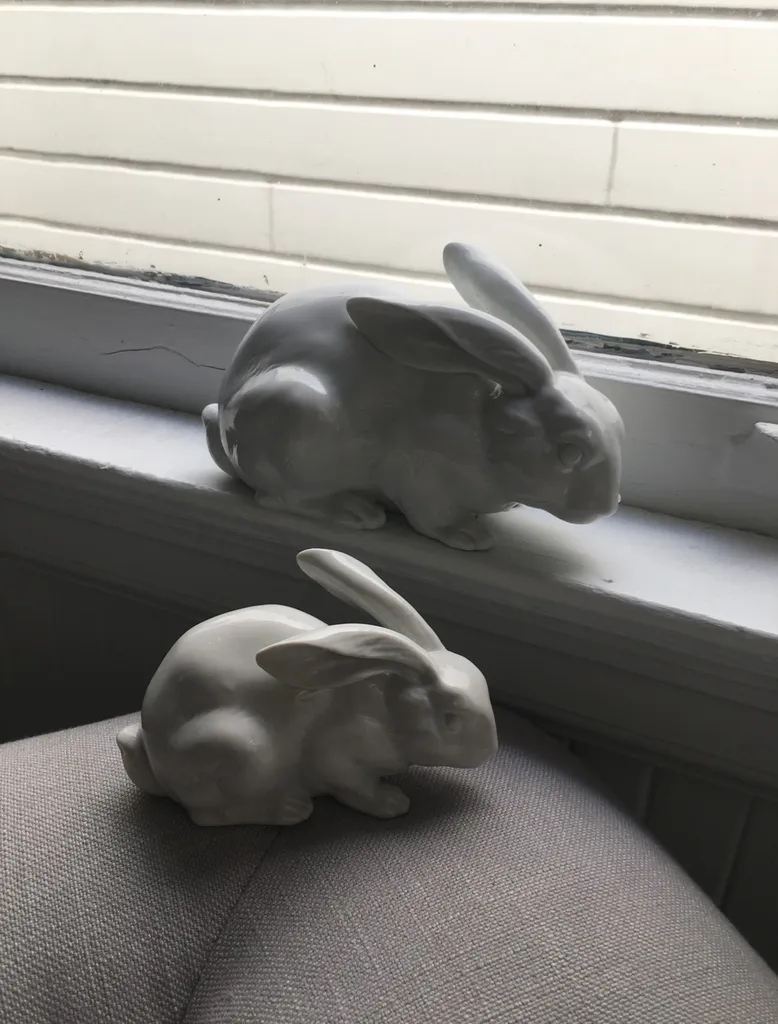 Porcelain Rabbits photo 1