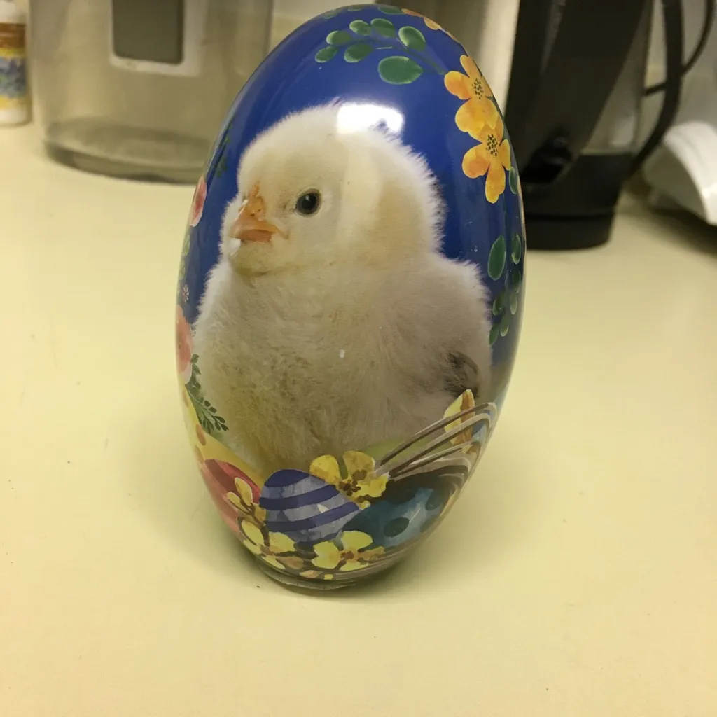 Easter Egg photo 1