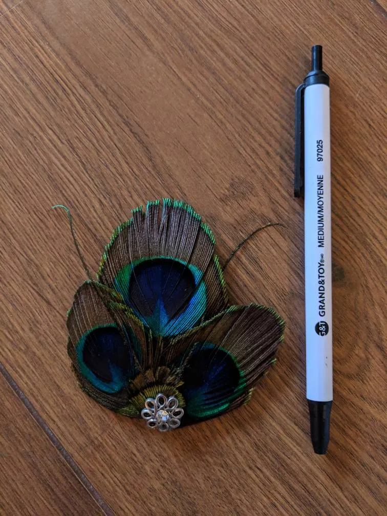 Peacock Feathers Hair Pin photo 1