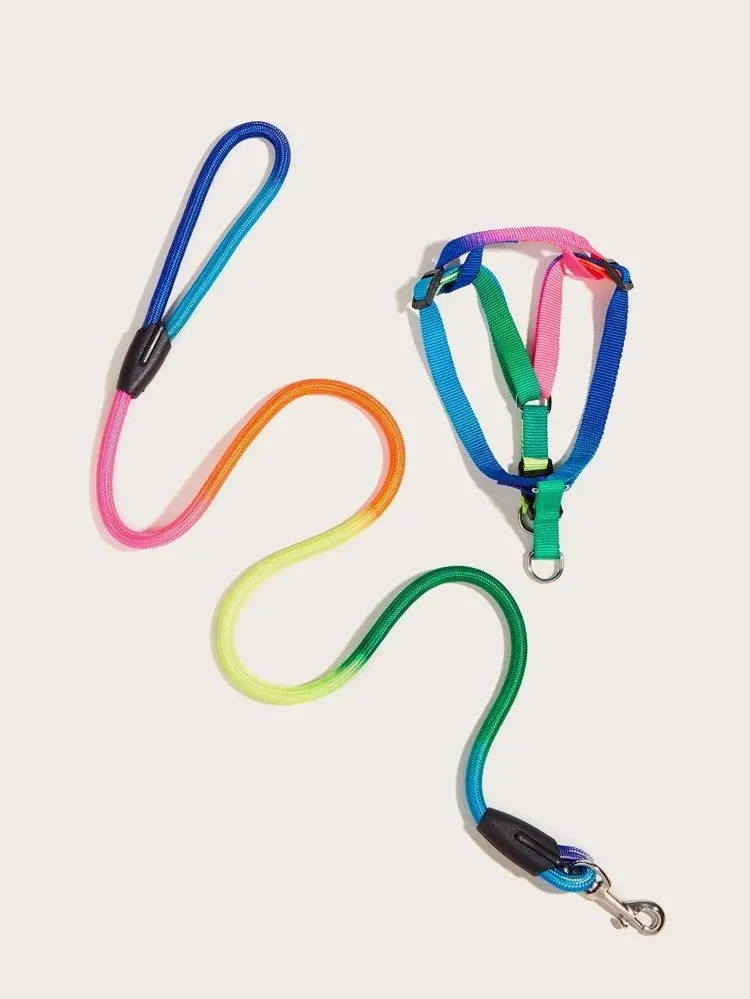 Brand New Rainbow Dog Leash And Halter photo 1