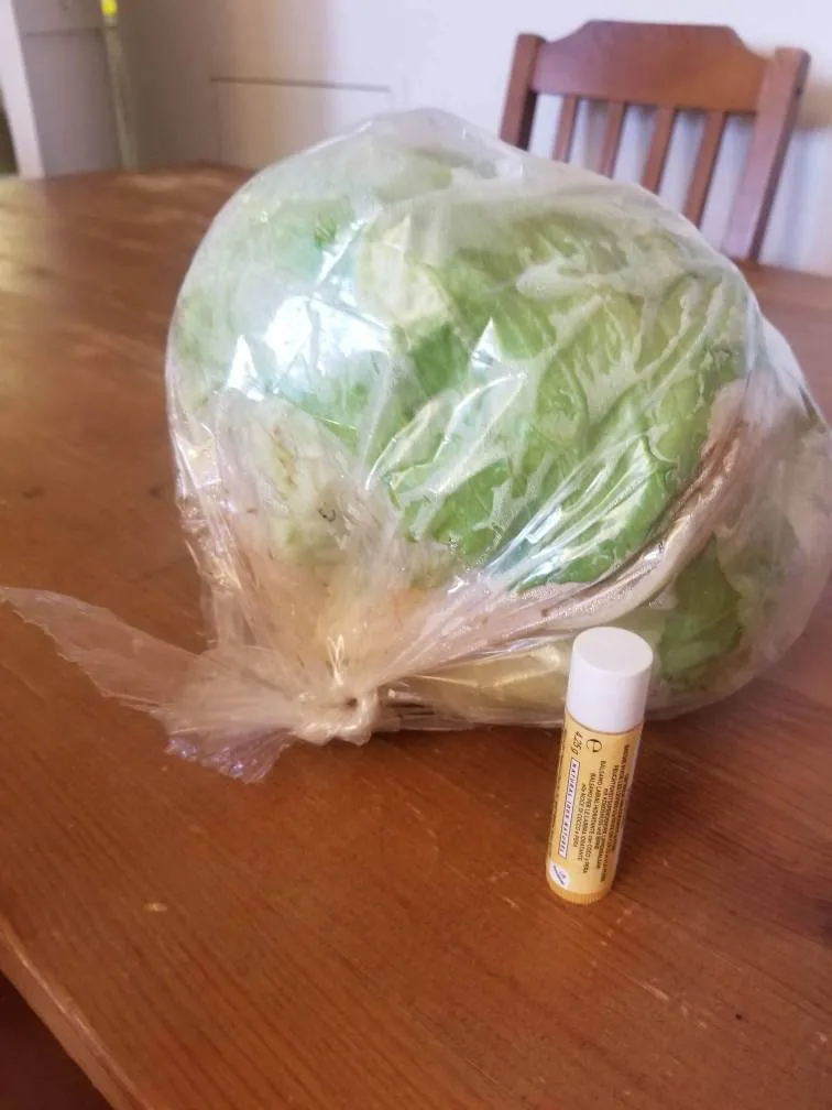 Gigantic Lettuce photo 1