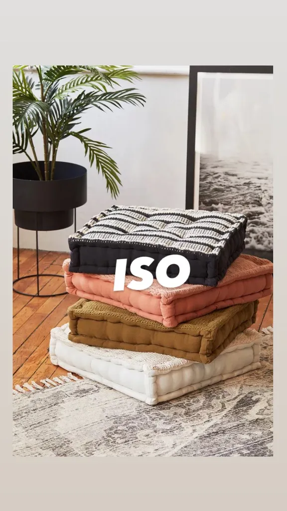 ISO Floor Pillows photo 1