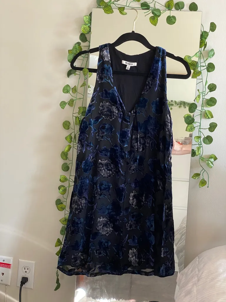 Bb Dakota Dress photo 1