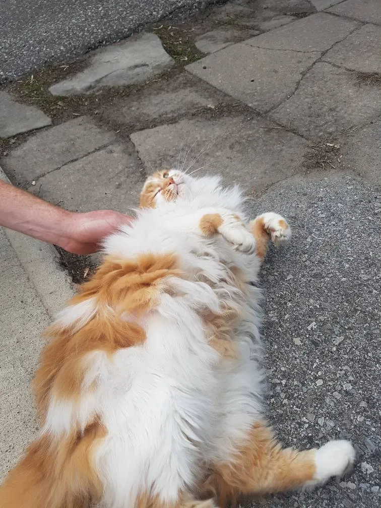 Sprinkling Some Cheer? photo 1