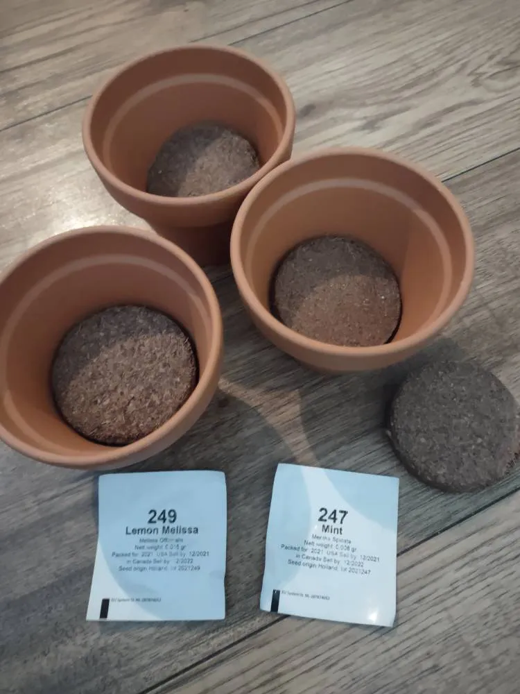 Terra Cotta Planters photo 1