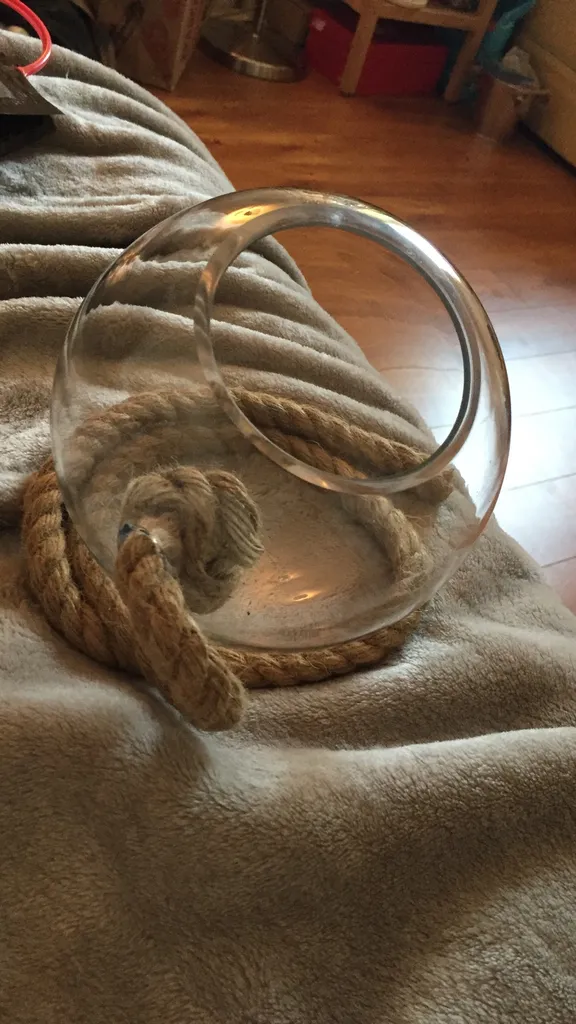 ISO Succulents To Fill My Terrarium 🌱 photo 1