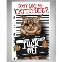 Don’t Like My Cattitude Fuck Off Poster photo 1