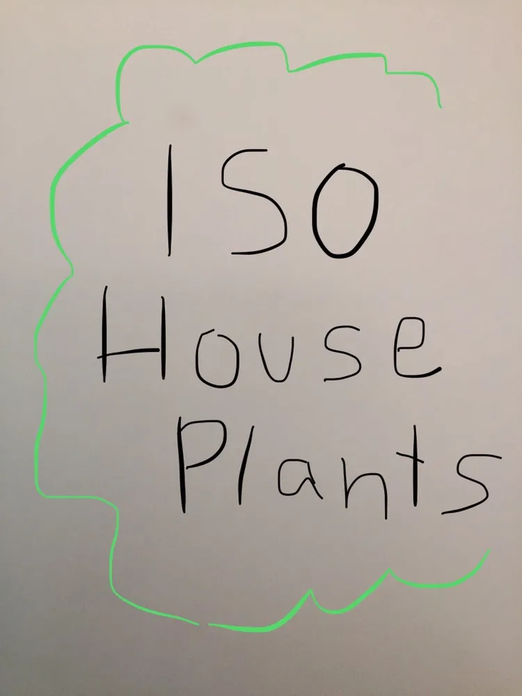 ISO House Plants 🌱 photo 1