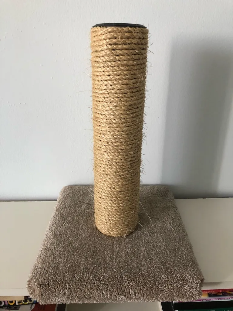 Cat Scratch Post photo 1