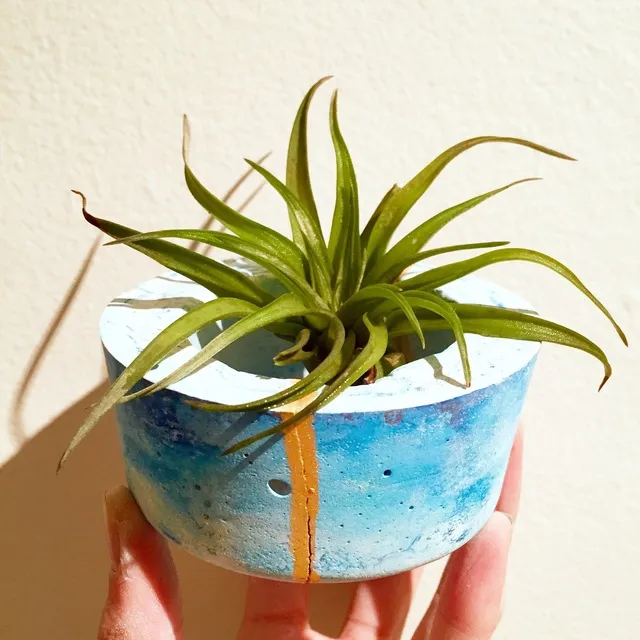 Marble Cement Planters photo 1