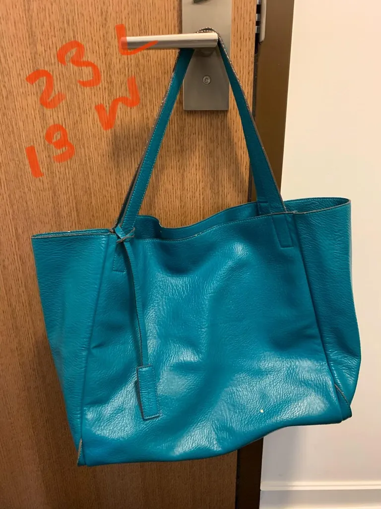 Teal Synthetic Carry All Bag photo 1
