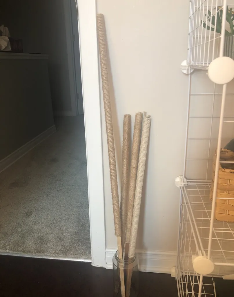 Plant Stakes photo 1