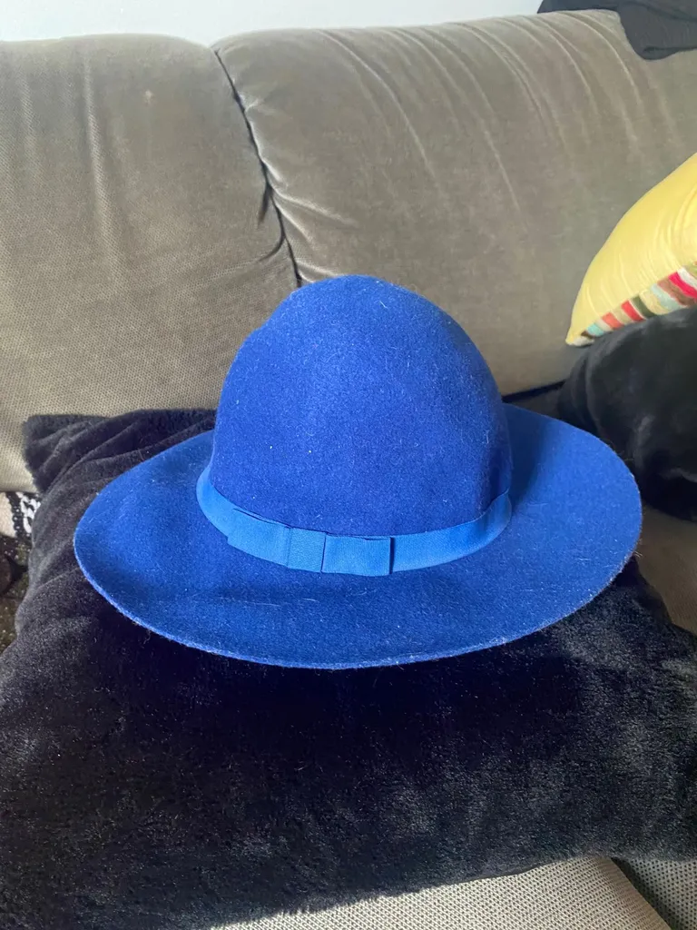 Navy Blue Felt Hat photo 1