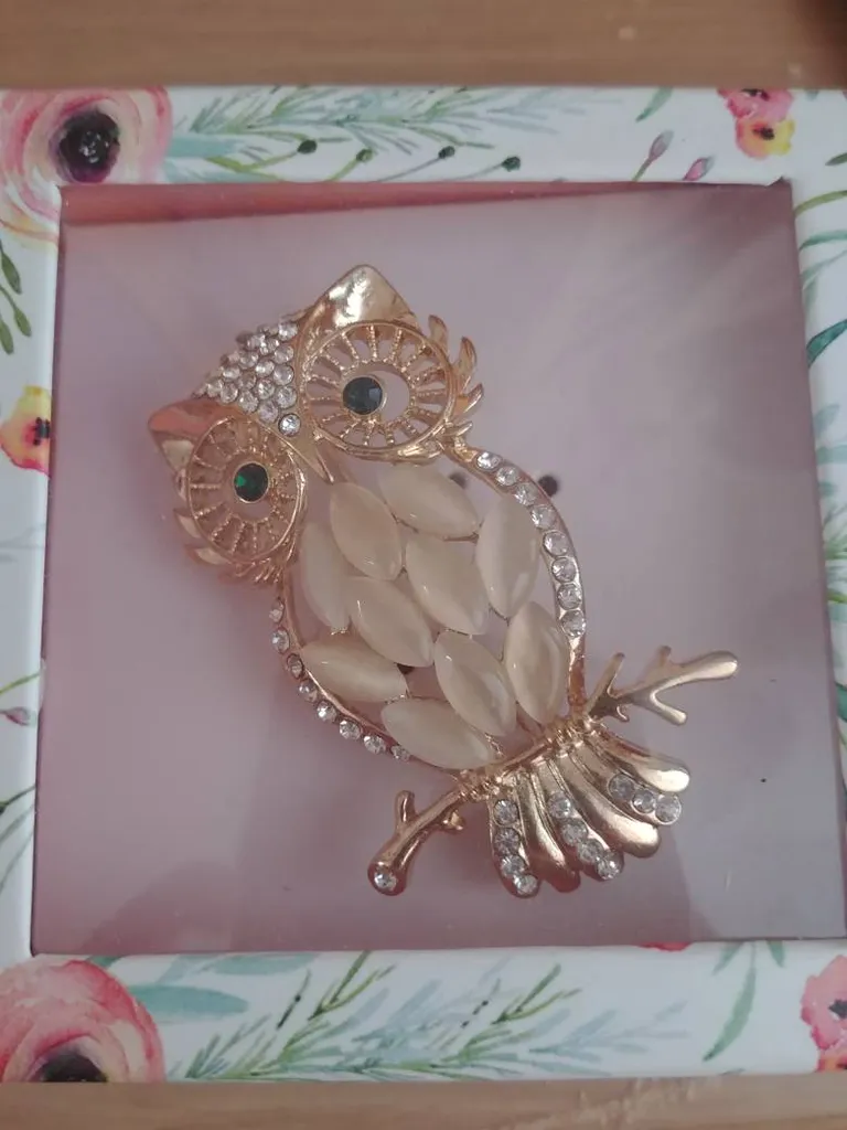 Owl Brooch photo 1