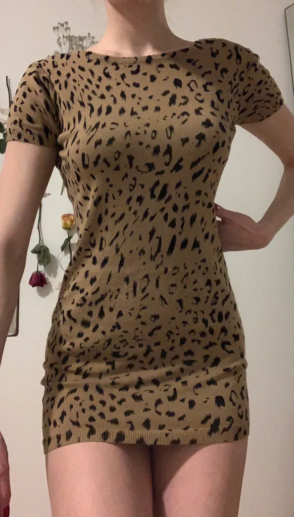 Cheetah Print Dress photo 1
