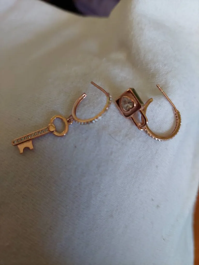 Different Pairs Of Earrings photo 1