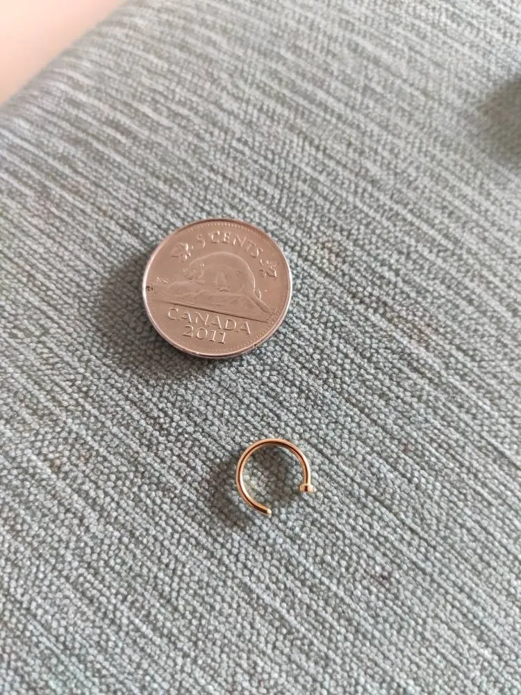 💎 Small Ring For Lip Nose Etc photo 1