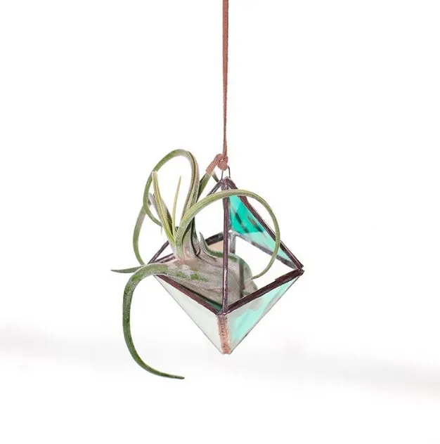 Hanging Gem Air Plant Holder photo 1