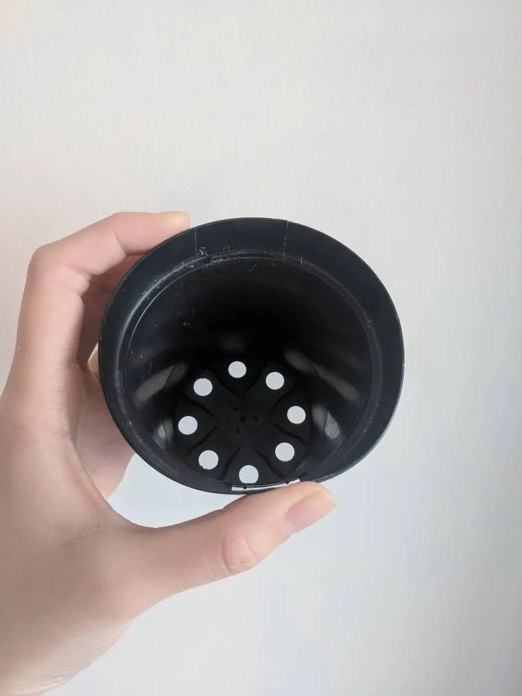 Plastic Planter With Drainage photo 1