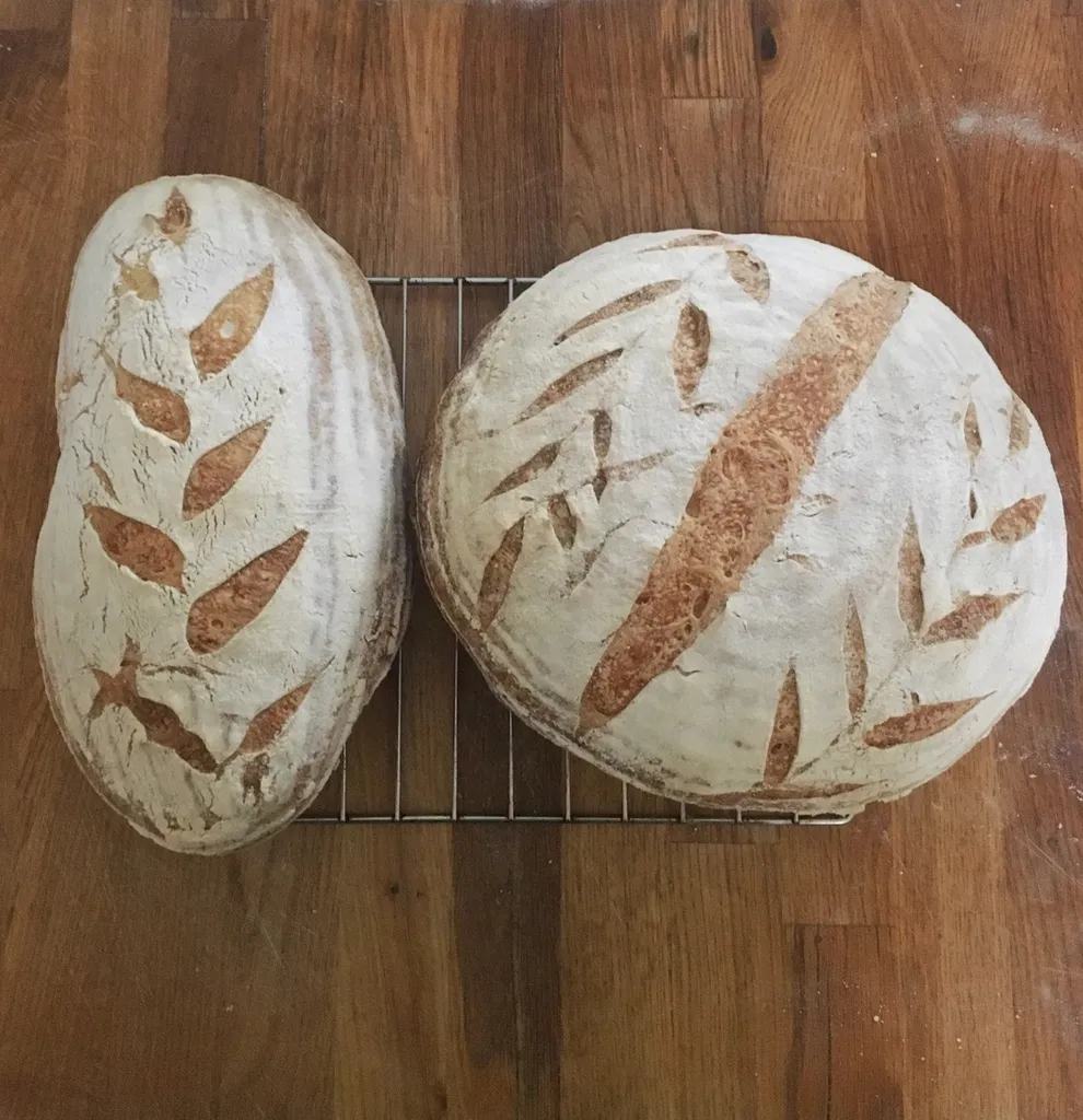 Homemade Sourdough Bread photo 1