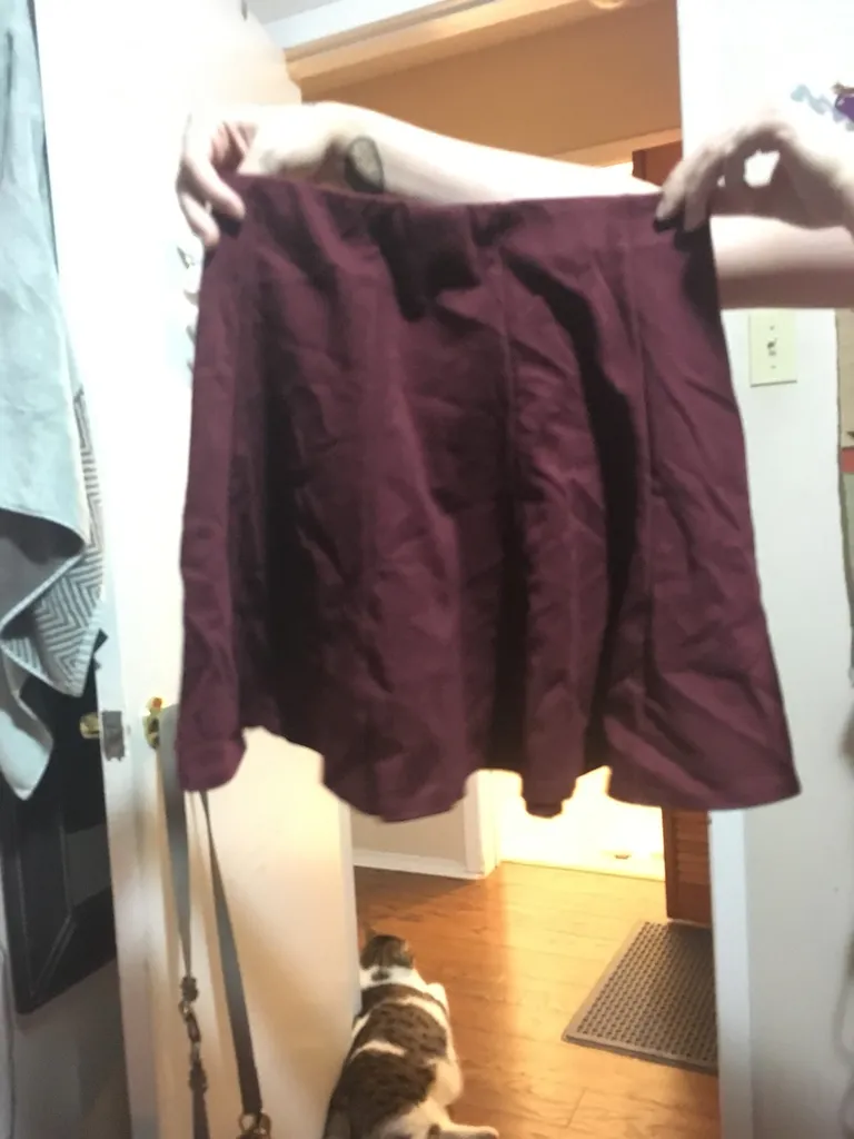 Burgundy Skirt photo 1