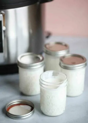 Home Made Natural Plain Yogurt photo 1