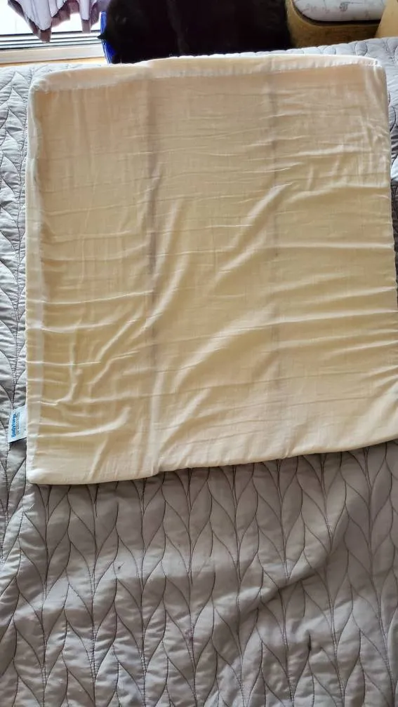 Bodyform Wedge Pillow photo 1