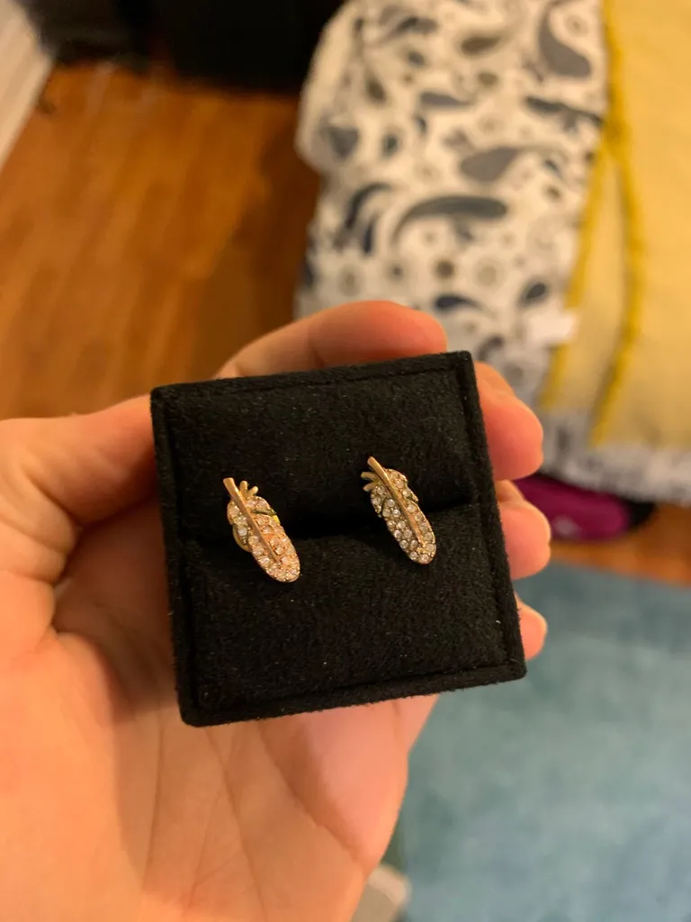 Fossil Feather Earrings photo 1