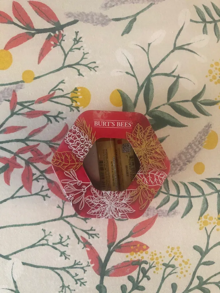 2 X BNIP Burt’s Bees Lip Balms photo 1