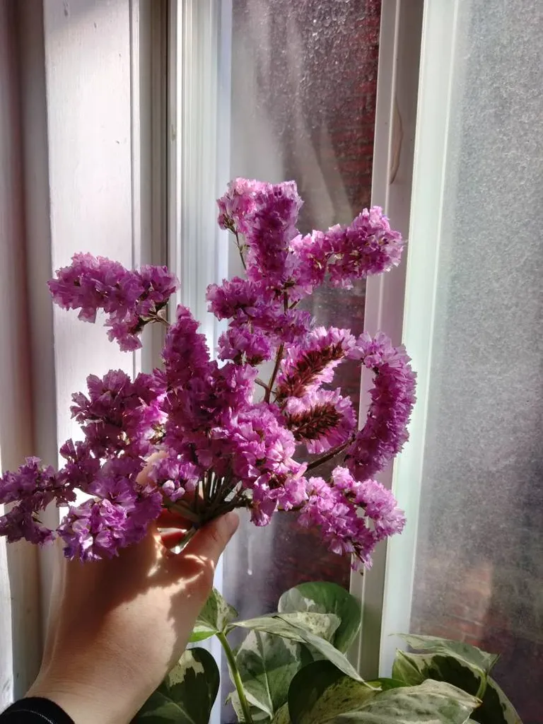 Small Bouquet Of Dried Flowers photo 1