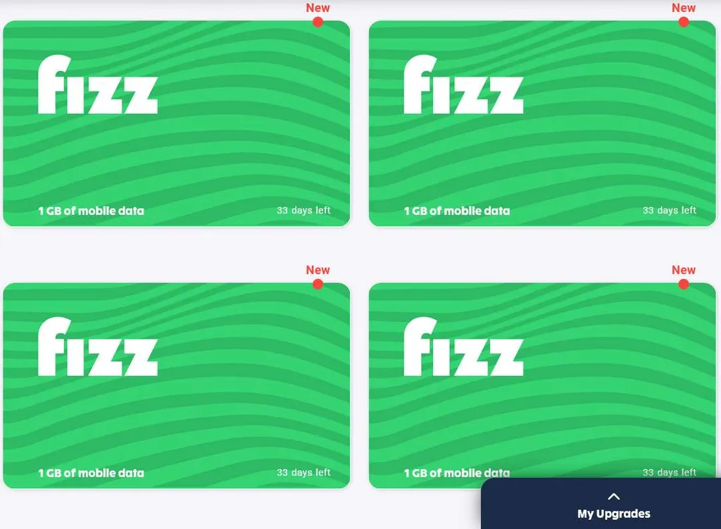 1 GB of Fizz Data photo 1