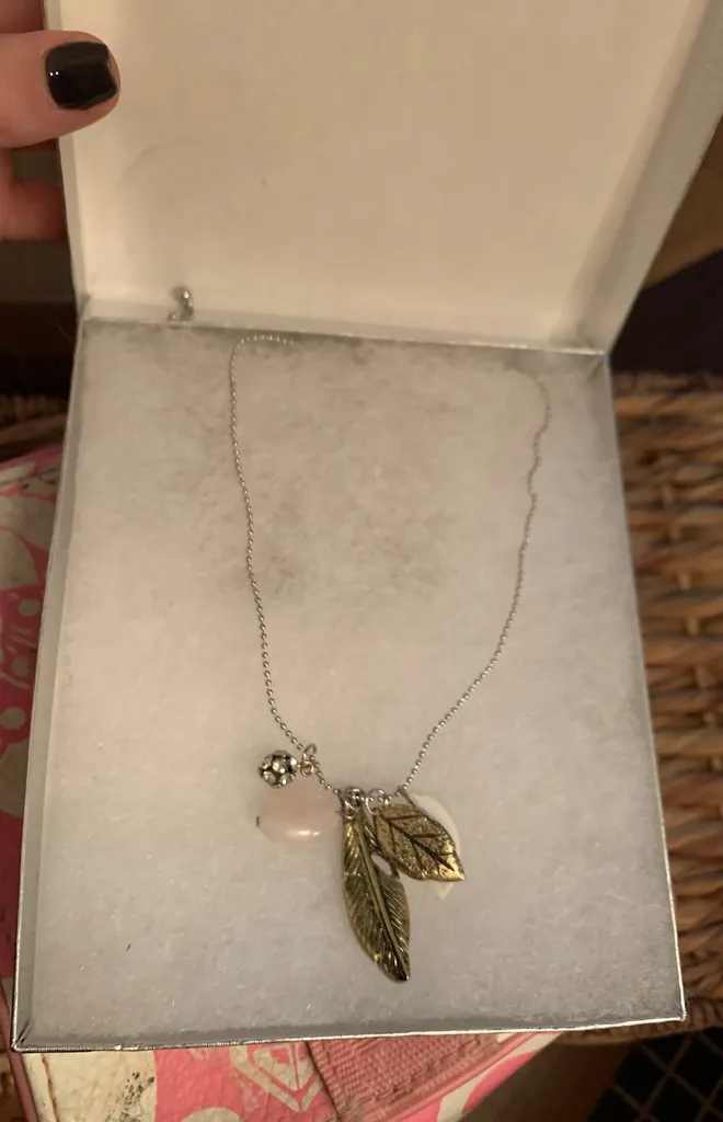 BNWT Necklace photo 1