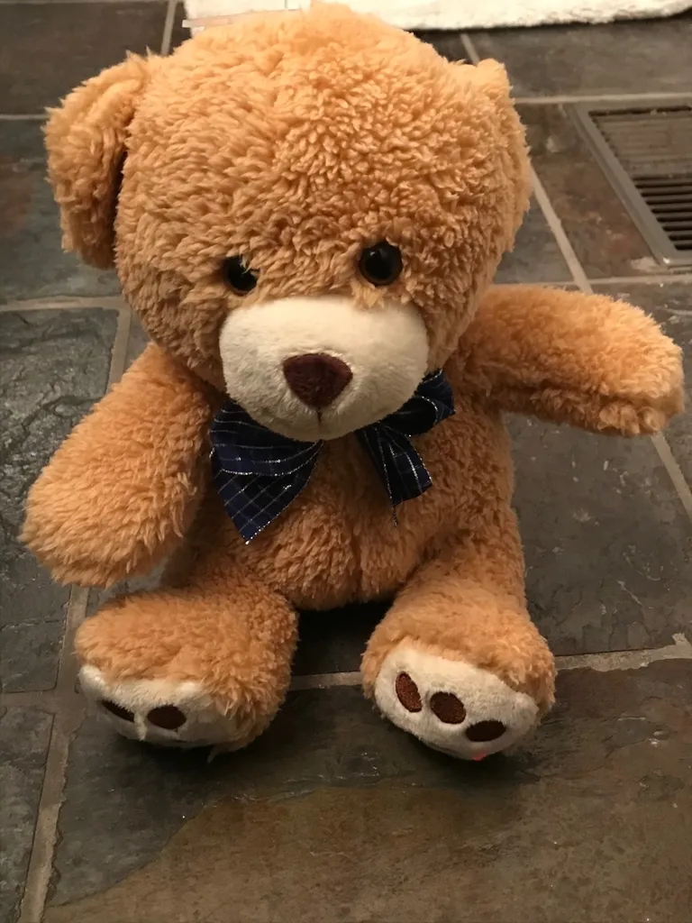 Brand New Teddy Bear photo 1