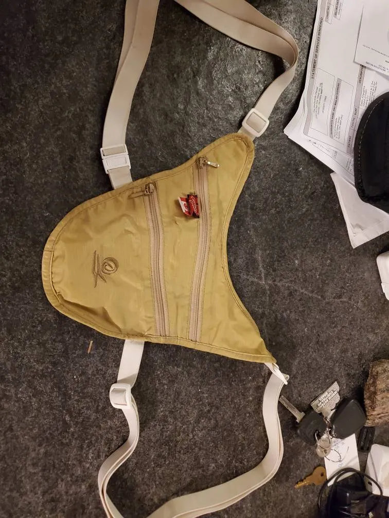 Money Transporter photo 1