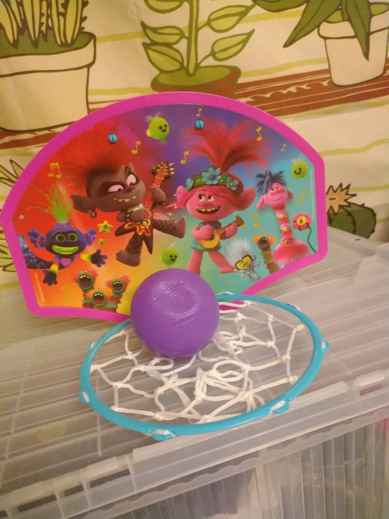 🔥Kids Basket Ball Net photo 1