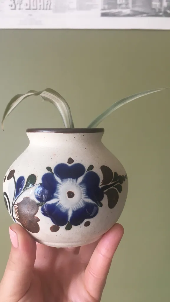 Spider Plant! photo 1