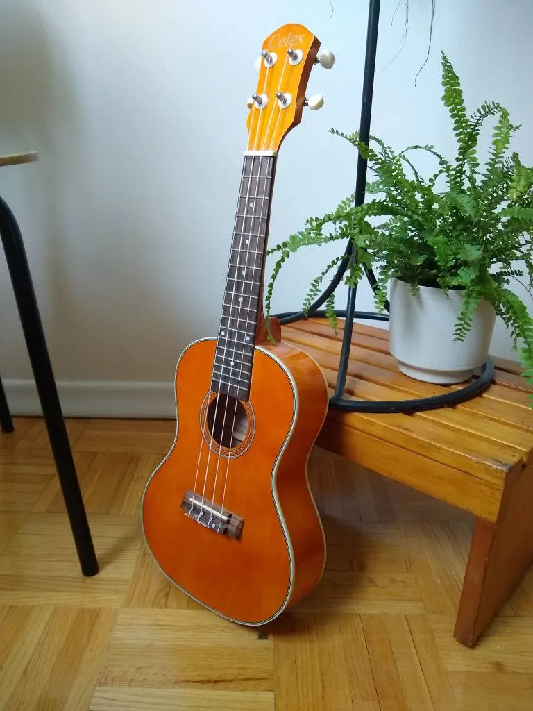 Free Broken Ukulele photo 1