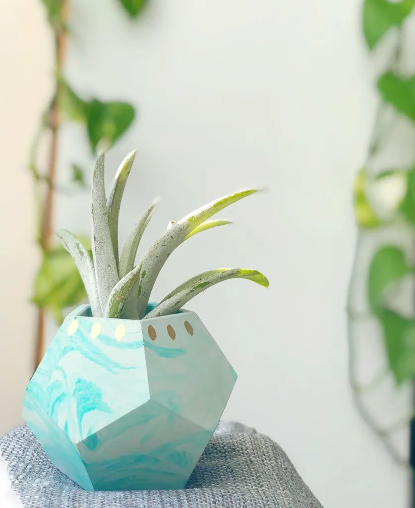 Dodecahedron Planter photo 1