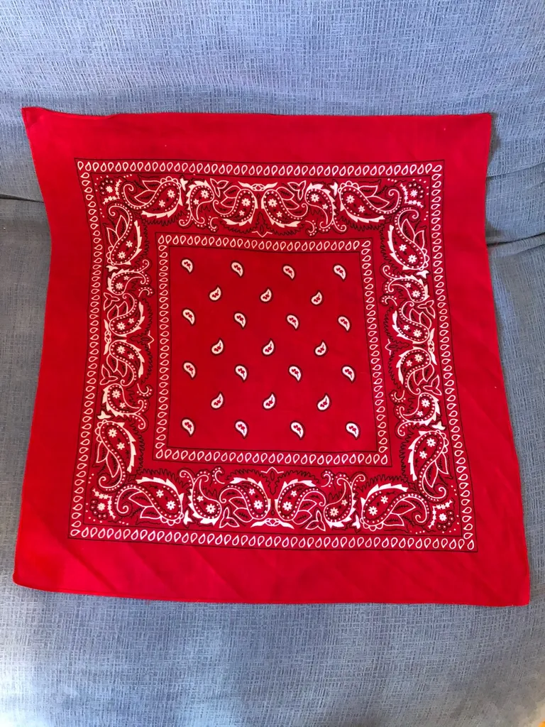 Red Bandana photo 1
