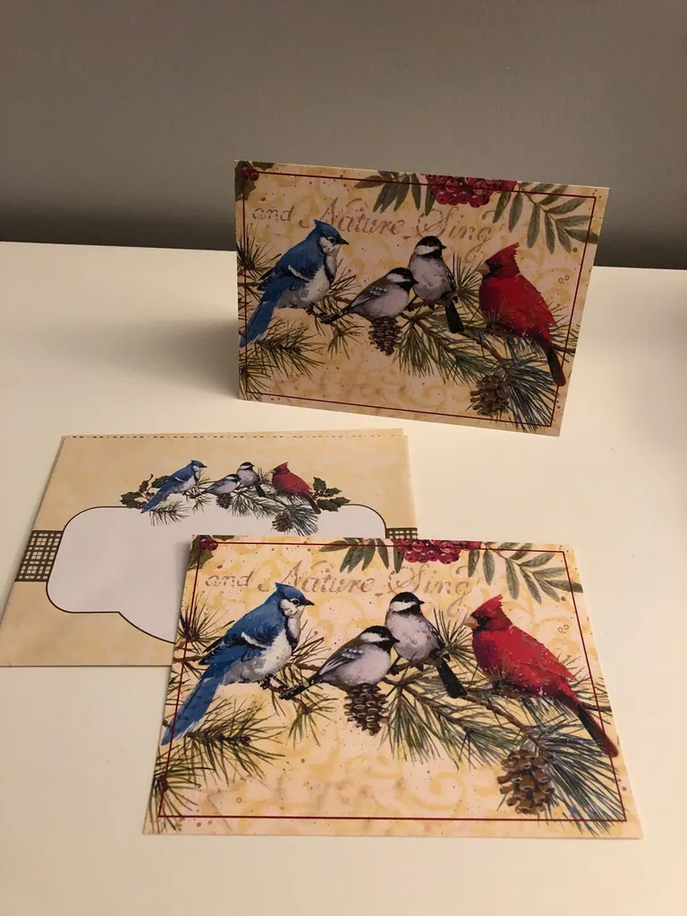 2 Holiday Greeting Cards + Envelopes photo 1