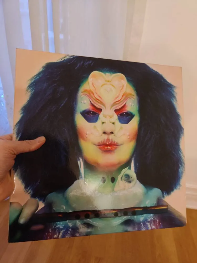 Bjork Record photo 1