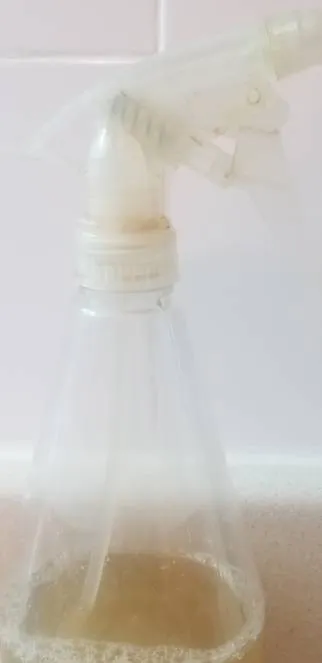 Homemade Citrus Cleaner photo 1