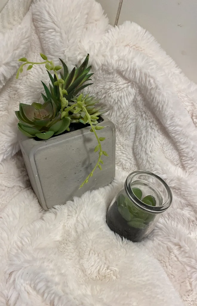 Faux Succulent Arraignments 🦄 photo 1