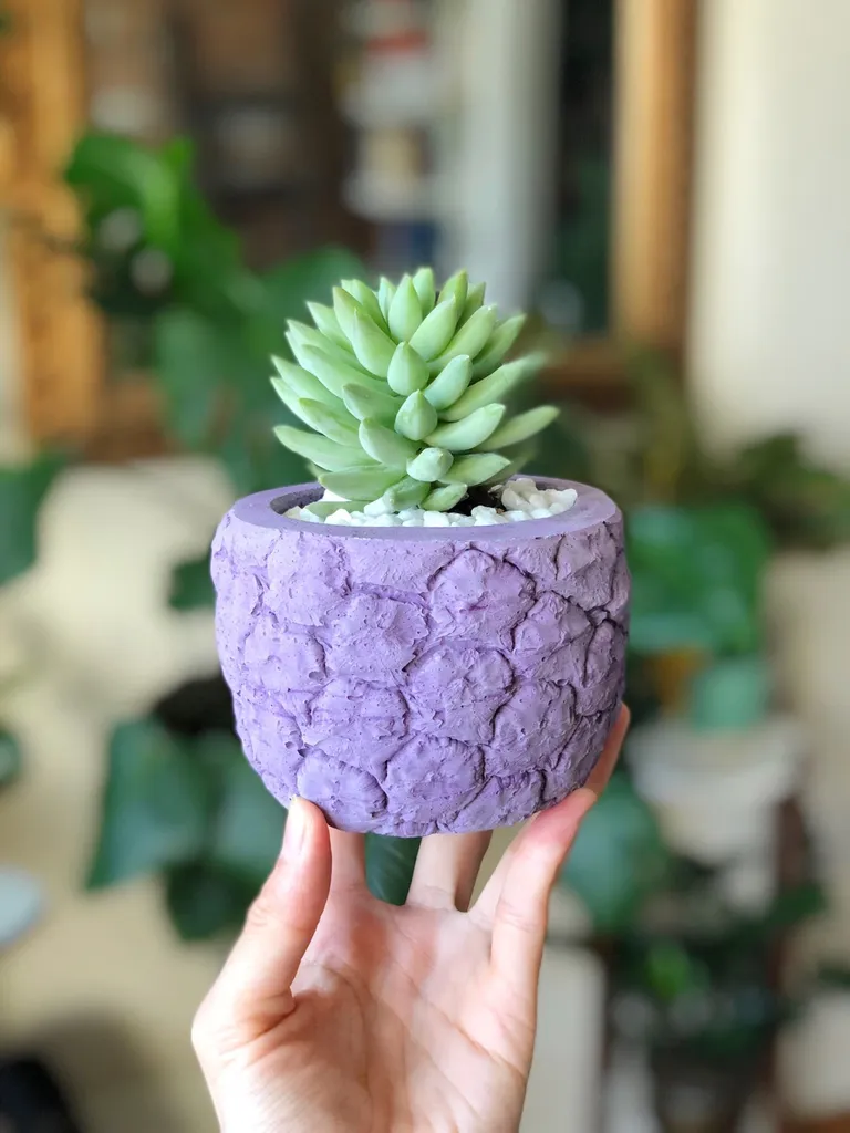 Pineapple planter photo 1