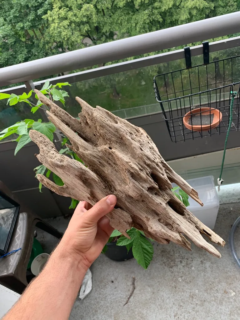 Lit-Ass Drifty Boi photo 1