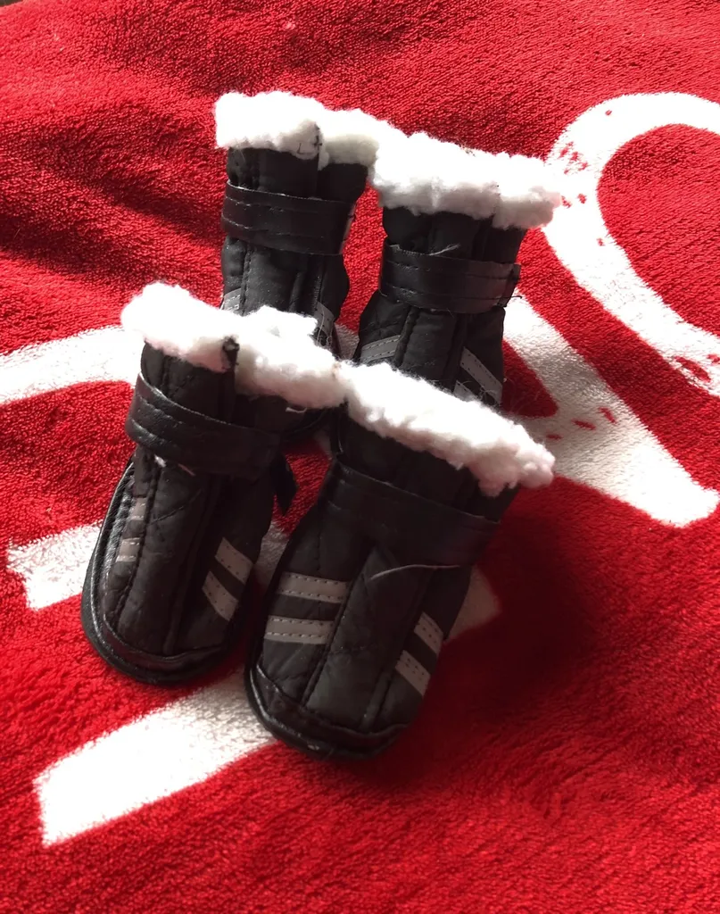 FREE Pet Shoes photo 1