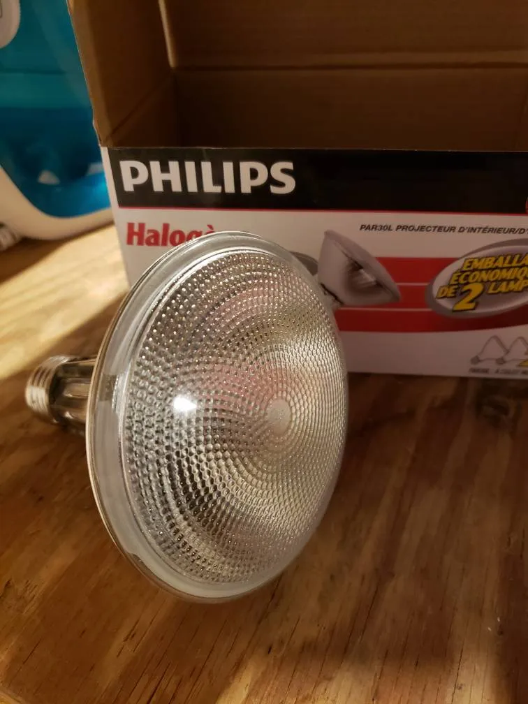 Lightbulbs...various sizes & new photo 1